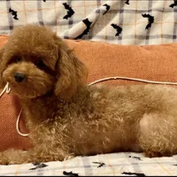 processed/1207acc4-d47b-4737-a376-b6cf390585c4/facility/34a84f8f-7a61-446a-8050-0cfaa7f9716b