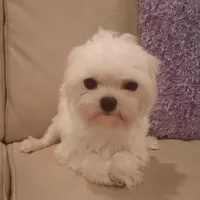 processed/1207acc4-d47b-4737-a376-b6cf390585c4/facility/3580cfa8-5e2a-4416-8dbe-609eb636b78f