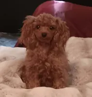 processed/1207acc4-d47b-4737-a376-b6cf390585c4/facility/4253bc79-94e4-43ac-944e-dcfad67c8774