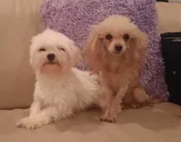 processed/1207acc4-d47b-4737-a376-b6cf390585c4/facility/5734ac41-eb96-4ca6-a608-082b4ae9848c