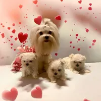 processed/1207acc4-d47b-4737-a376-b6cf390585c4/facility/660ccd31-d0b6-4fe7-ad37-d8d6694f41e1