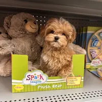 processed/1207acc4-d47b-4737-a376-b6cf390585c4/facility/68457e32-018c-4509-8226-5b1852639763