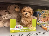 processed/1207acc4-d47b-4737-a376-b6cf390585c4/facility/68457e32-018c-4509-8226-5b1852639763