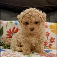 processed/1207acc4-d47b-4737-a376-b6cf390585c4/facility/6fc8127d-4b4e-4d81-b128-a4591e3e8ad5