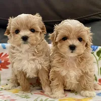 processed/1207acc4-d47b-4737-a376-b6cf390585c4/facility/8c33ea77-108a-4f3d-96ae-89b0dece54a8