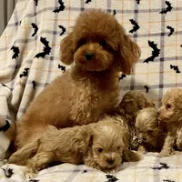 processed/1207acc4-d47b-4737-a376-b6cf390585c4/facility/a90f329f-3c4b-4777-a6d3-5abf8b55da35