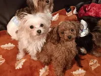 processed/1207acc4-d47b-4737-a376-b6cf390585c4/facility/bd556555-365e-4ae2-bbc0-a725885b0b95