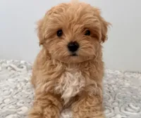 processed/1207acc4-d47b-4737-a376-b6cf390585c4/facility/e08016d7-35ad-4ecf-80b0-7533be5319e4