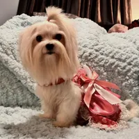 processed/1207acc4-d47b-4737-a376-b6cf390585c4/facility/e13b36dd-edc0-40c4-93da-11438c0c6787