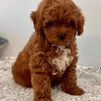 processed/1207acc4-d47b-4737-a376-b6cf390585c4/facility/fd6c8989-2df3-4407-9b3a-d609424284de