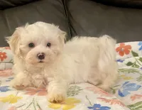 processed/1207acc4-d47b-4737-a376-b6cf390585c4/listing/626fff31-aced-4ab7-a51a-58e47fc50163/1a807ad5-f6ad-47ec-86d5-0a7ec7663fcc