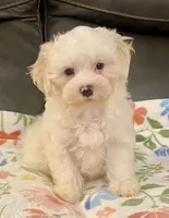 processed/1207acc4-d47b-4737-a376-b6cf390585c4/listing/626fff31-aced-4ab7-a51a-58e47fc50163/496796b7-d67e-4d33-8b03-129885b4bf01