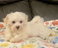 processed/1207acc4-d47b-4737-a376-b6cf390585c4/listing/626fff31-aced-4ab7-a51a-58e47fc50163/782e299b-325f-46da-aad2-a630176034a1