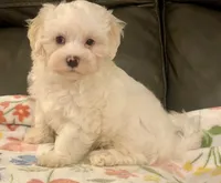 processed/1207acc4-d47b-4737-a376-b6cf390585c4/listing/626fff31-aced-4ab7-a51a-58e47fc50163/ad5749e6-d040-4595-8f3e-7aaa827e9baa