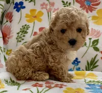 processed/1207acc4-d47b-4737-a376-b6cf390585c4/listing/b1aae6b5-75ef-4bcd-999a-7d5ac7a24e9c/2bc72936-4321-4564-a9b5-cef2112642b6