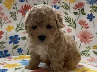 processed/1207acc4-d47b-4737-a376-b6cf390585c4/listing/b1aae6b5-75ef-4bcd-999a-7d5ac7a24e9c/525d5c6d-fca4-4789-a7a7-c019814810e9