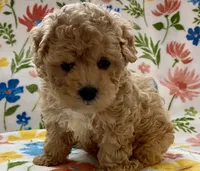 processed/1207acc4-d47b-4737-a376-b6cf390585c4/listing/b1aae6b5-75ef-4bcd-999a-7d5ac7a24e9c/c891856a-3474-40b3-97b1-fd9786134a00