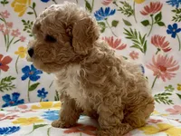 processed/1207acc4-d47b-4737-a376-b6cf390585c4/listing/b1aae6b5-75ef-4bcd-999a-7d5ac7a24e9c/cfe9ded9-fc6b-4a16-a98e-14539724f5f4