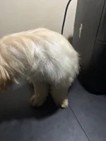 processed/1217a048-63c7-4676-afe4-01066ae065eb/listing/30d78831-2b43-411b-a307-037708e0d5fc/06e97abc-e419-4e9b-8224-b5de0966cc11