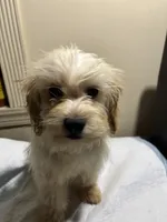 processed/1217a048-63c7-4676-afe4-01066ae065eb/listing/30d78831-2b43-411b-a307-037708e0d5fc/16a90280-e58a-44c9-baaa-2e53629f6917