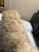 processed/1217a048-63c7-4676-afe4-01066ae065eb/listing/30d78831-2b43-411b-a307-037708e0d5fc/1bbe4e48-38c7-4f6d-88c1-97465bd3449e