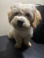 processed/1217a048-63c7-4676-afe4-01066ae065eb/listing/30d78831-2b43-411b-a307-037708e0d5fc/4ea504ba-cae9-476b-b832-b73d8351a4c9