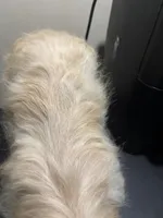 processed/1217a048-63c7-4676-afe4-01066ae065eb/listing/30d78831-2b43-411b-a307-037708e0d5fc/c5770ebb-6382-40de-9357-0134bbb5c4f5