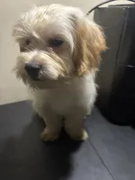 processed/1217a048-63c7-4676-afe4-01066ae065eb/listing/30d78831-2b43-411b-a307-037708e0d5fc/c85ad302-89f9-48ec-a8f7-50f11a64520c