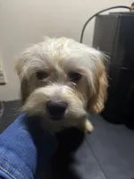 processed/1217a048-63c7-4676-afe4-01066ae065eb/listing/30d78831-2b43-411b-a307-037708e0d5fc/ea7d075d-970b-4b3c-af69-0bbcb3d3594f