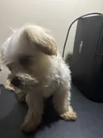 processed/1217a048-63c7-4676-afe4-01066ae065eb/listing/642ea971-746c-47b4-bd77-79b7941024e2/3114efea-0a5b-4a4d-8759-8255160d2f22