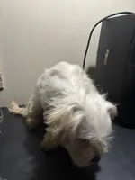 processed/1217a048-63c7-4676-afe4-01066ae065eb/listing/642ea971-746c-47b4-bd77-79b7941024e2/3cdb9d22-d8a2-48a2-91bf-8cfcfcb5cb30