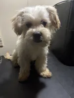 processed/1217a048-63c7-4676-afe4-01066ae065eb/listing/642ea971-746c-47b4-bd77-79b7941024e2/61000f7d-0f5c-48e5-bf5c-d2e0f5bcac90