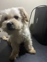 processed/1217a048-63c7-4676-afe4-01066ae065eb/listing/642ea971-746c-47b4-bd77-79b7941024e2/82536057-5c5f-4fca-8c6f-bad5425c6329