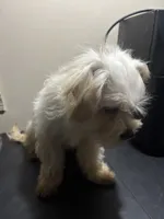 processed/1217a048-63c7-4676-afe4-01066ae065eb/listing/642ea971-746c-47b4-bd77-79b7941024e2/8642e02a-ada1-41c6-ae47-794c615298a0