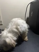 processed/1217a048-63c7-4676-afe4-01066ae065eb/listing/642ea971-746c-47b4-bd77-79b7941024e2/c91c3204-aea9-4c2d-9ea0-6fd68035916d