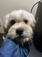 processed/1217a048-63c7-4676-afe4-01066ae065eb/listing/642ea971-746c-47b4-bd77-79b7941024e2/ee95b042-042e-4cd5-a9b2-d6d92480ae35