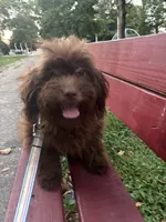 processed/1217a048-63c7-4676-afe4-01066ae065eb/listing/65fcd71e-c89f-4638-beb3-10762da39ed8/515b22f3-f8c2-49a1-95b4-db5dc5696c78