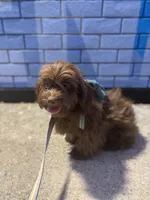 processed/1217a048-63c7-4676-afe4-01066ae065eb/listing/65fcd71e-c89f-4638-beb3-10762da39ed8/764b64b8-55a1-4c0e-897c-866718165c4a