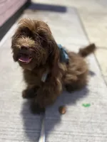 processed/1217a048-63c7-4676-afe4-01066ae065eb/listing/65fcd71e-c89f-4638-beb3-10762da39ed8/a92a56f6-bc1b-4ca9-a250-fab3f3cd6762