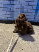 processed/1217a048-63c7-4676-afe4-01066ae065eb/listing/65fcd71e-c89f-4638-beb3-10762da39ed8/fb8451e6-ace2-4401-8c69-5ded43edb7b9