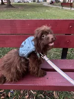 processed/1217a048-63c7-4676-afe4-01066ae065eb/listing/65fcd71e-c89f-4638-beb3-10762da39ed8/fbff239e-fc77-453b-8f73-852c56465023