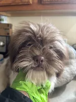 processed/1217a048-63c7-4676-afe4-01066ae065eb/listing/6a87b46e-ca1a-4c7e-8fa0-c34235f35da7/13702be5-ba20-4721-bfb3-a74335d28d0e