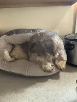 processed/1217a048-63c7-4676-afe4-01066ae065eb/listing/6a87b46e-ca1a-4c7e-8fa0-c34235f35da7/2d735f8b-8044-4fa3-97c4-3d04ae7cfa0b