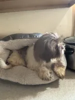 processed/1217a048-63c7-4676-afe4-01066ae065eb/listing/6a87b46e-ca1a-4c7e-8fa0-c34235f35da7/325ac0aa-6e76-453b-b806-753c39772b8d