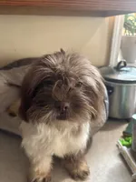 processed/1217a048-63c7-4676-afe4-01066ae065eb/listing/6a87b46e-ca1a-4c7e-8fa0-c34235f35da7/4bea3652-ec30-47ba-a04d-59d05136516b