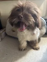 processed/1217a048-63c7-4676-afe4-01066ae065eb/listing/6a87b46e-ca1a-4c7e-8fa0-c34235f35da7/609bd777-48bd-49b5-938b-1b99e5d52f26