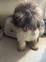 processed/1217a048-63c7-4676-afe4-01066ae065eb/listing/6a87b46e-ca1a-4c7e-8fa0-c34235f35da7/689e0357-fb53-42cd-a682-e035857e018a