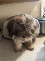 processed/1217a048-63c7-4676-afe4-01066ae065eb/listing/6a87b46e-ca1a-4c7e-8fa0-c34235f35da7/a159d0a2-6491-4f27-92b9-ec82a93f3bee