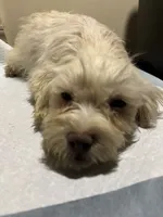 processed/1217a048-63c7-4676-afe4-01066ae065eb/listing/ca3ca572-a2aa-4562-ac06-e1598e1d535a/2b3c695a-4a51-4474-b2fc-ec60f8ba625f