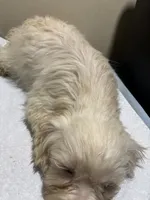 processed/1217a048-63c7-4676-afe4-01066ae065eb/listing/ca3ca572-a2aa-4562-ac06-e1598e1d535a/7248eb36-d12d-4021-905b-f432695e9288